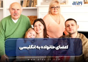 اعضای خانواده به انگلیسی: راهنمای جامع