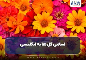 اسامی گل ها به انگلیسی