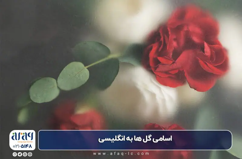 اسامی گل ها به انگلیسی