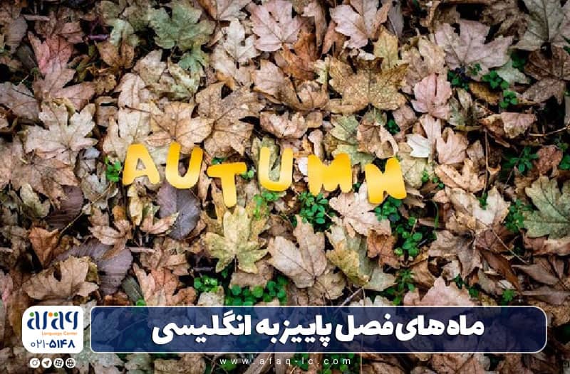 فل پاییز به انگلیسی